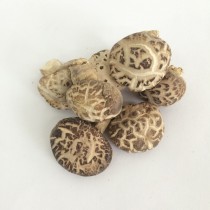 AA冬菇 (每港斤)